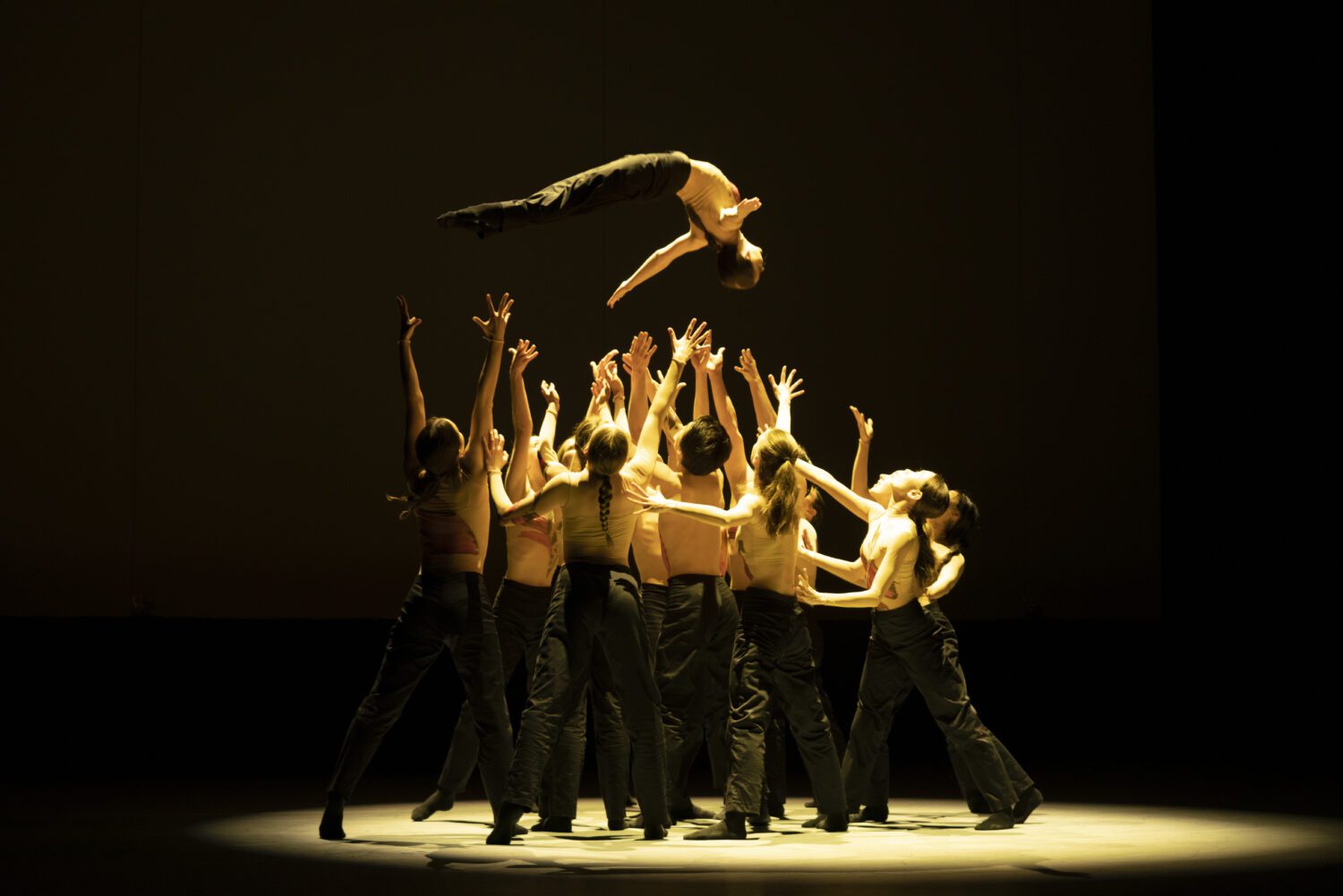 Junior Ballet Antwerp
Alumni